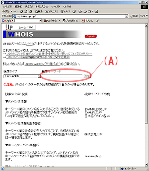ドメインの確認ページ